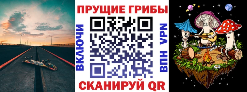 даркнет сайт  Санкт-Петербург  Псилоцибиновые грибы прущие грибы 