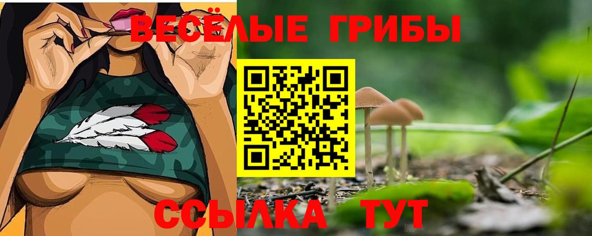 дарнет шоп  Псилоцибиновые грибы ЛСД  Вход с VPN  Галлюциногенные грибы мухоморы  Санкт-Петербург 